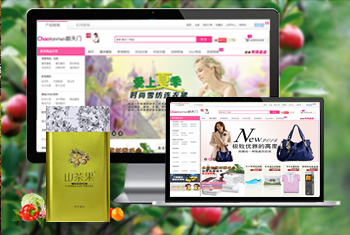 �˳ǳ������̳�