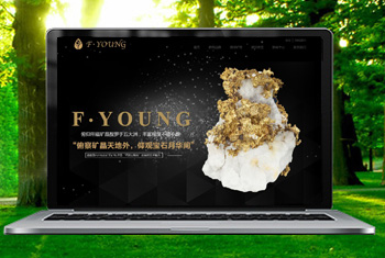 �˳Ǹ������ﱦʯ